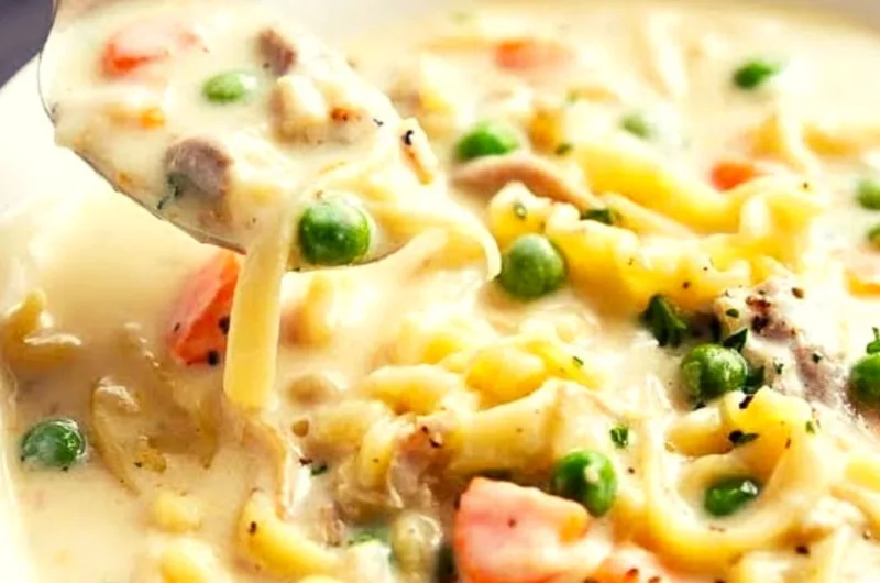 Creamy Chicken Noodles Soup