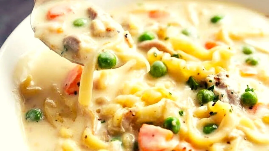 Creamy chicken noodles soup